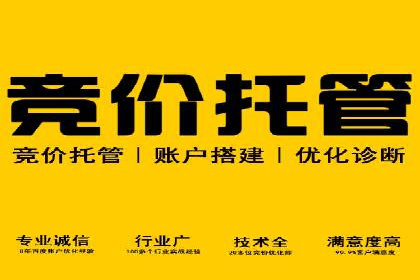 百度网络推广实战技巧：案例解析，让你轻松实现精准营销